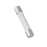 G-Feinsicherung 6,3x32mm 20A Flink 65V | US-Sicherung 10 Stück
