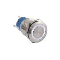 19mm Edelstahl-Taster IP67 | 1S/1Ö 3A 250VAC | 12V...