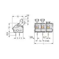 WAGO 256-099 Leiterplattenklemme | 2-polig 2,5mm² |...