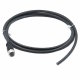 BINDER Serie 763 M12-A Kabel 2m, schwarz, Kupplung 8-polig zu offenem Ende